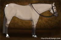 Horse Color:Liver Red Dun Tobiano Rabicano 