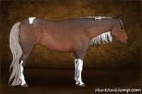 Horse Color:Silver Bay Roan Tobiano 