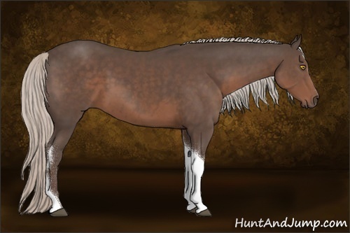 Horse Color:Silver Black Sabino Tobiano