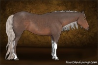 Horse Color:Silver Black Sabino Tobiano 