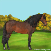 Horse Color:Brown 