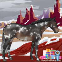 Horse Color:White Spotted Brown Sabino