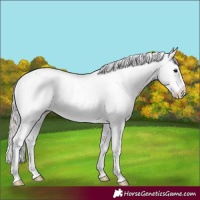 Horse Color:Silver Black Sabino