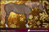 Horse Color:Liver Red Dun Rabicano 