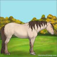 Horse Color:Amber Champagne Roan Dun Sabino 