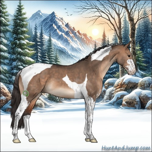 Horse Color:Bay Dun Sabino Tobiano 