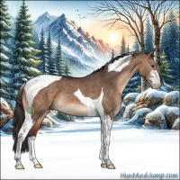 Horse Color:Bay Dun Sabino Tobiano