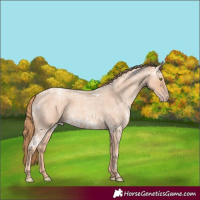 Horse Color:Gold Champagne Ice Roan 