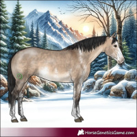 Horse Color:Brown Dun Sabino 