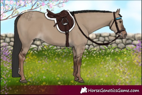 Horse Color:Liver Red Dun Rabicano 