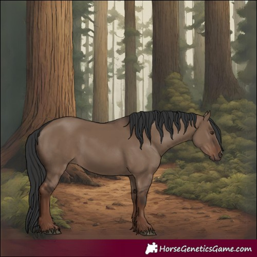 Horse Color:Liver Red Dun Rabicano 