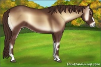 Horse Color:Red Onyx 