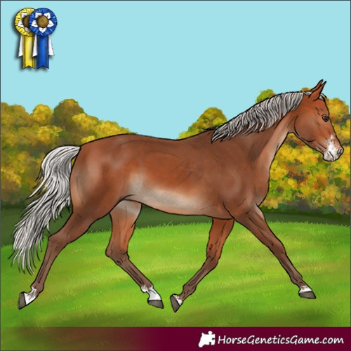 Horse Color:Silver Bay Sabino 