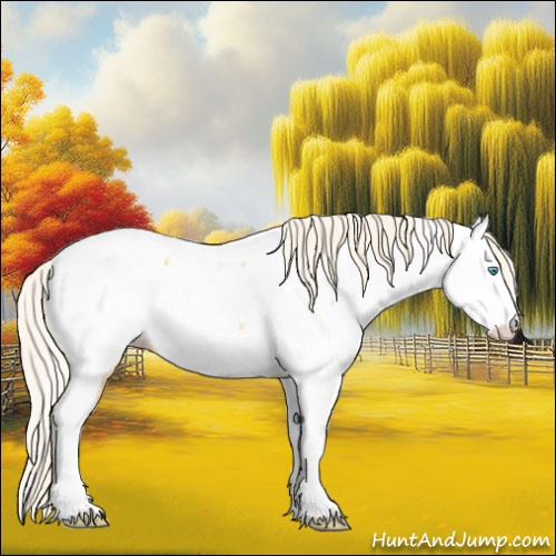 Horse Color:Gold Cream Champagne Sabino Fewspot 