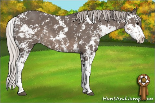 Horse Color:Silver Black Sabino 