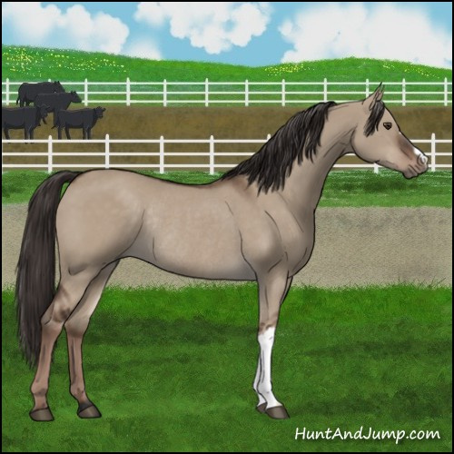 Horse Color:Liver Red Dun Rabicano