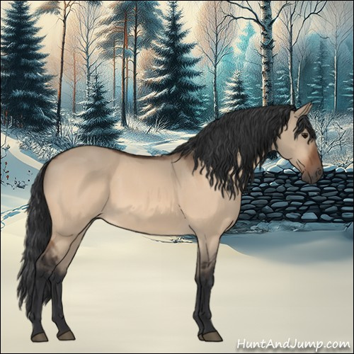 Horse Color:Bay Dun