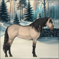 Horse Color:Bay Dun 