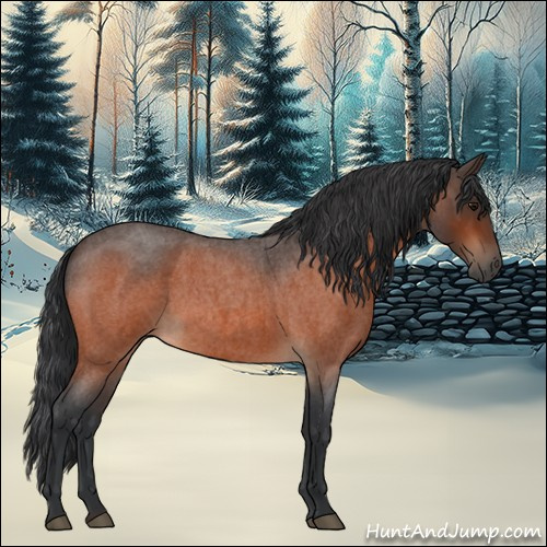 Horse Color:Bay Roan 