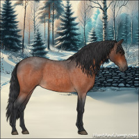 Horse Color:Bay Roan 