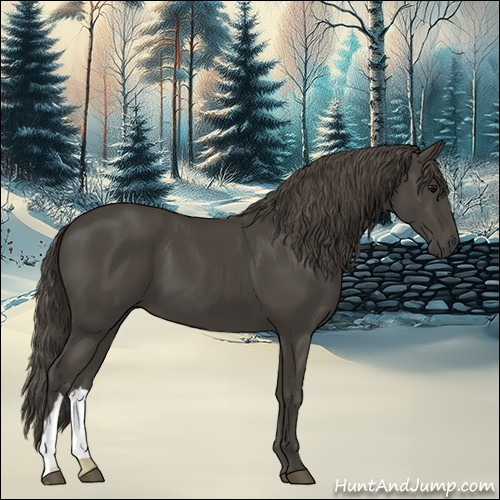 Horse Color:Smoky Black