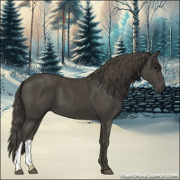Horse Color:Smoky Black 