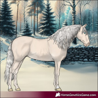 Horse Color:Cremello 