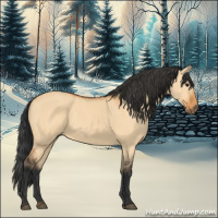 Horse Color:Bay Dun 