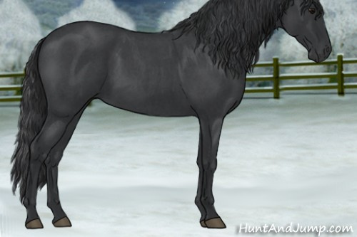 Horse Color:Blue Roan 