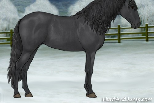 Horse Color:Blue Roan 