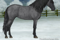 Horse Color:Blue Roan 