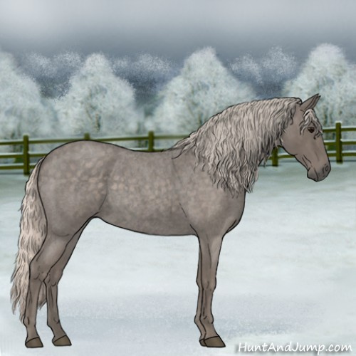 Horse Color:Silver Blue Roan