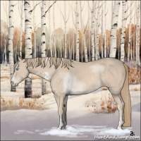 Horse Color:Smoky Creme Sabino Rabicano 