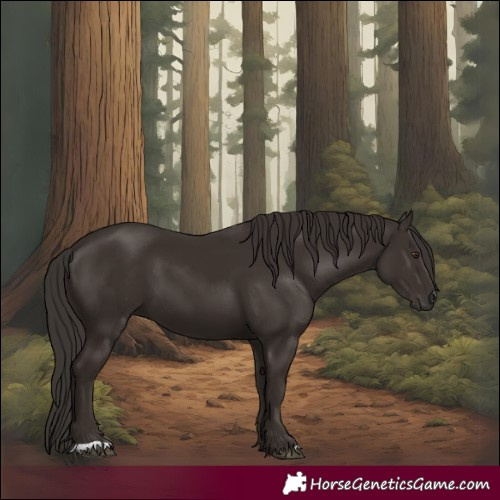 Horse Color:Liver Chestnut 
