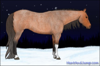 Horse Color:Bay Roan Tobiano