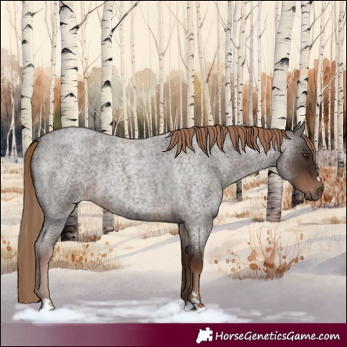 Horse Color:Liver Red Roan 