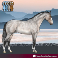 Horse Color:Brown Roan Dun Sabino Rabicano Brindle 