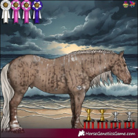 Horse Color:White Spotted Liver Chestnut Mushroom Splash  and Silver Grullo 