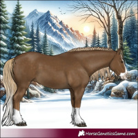 Horse Color:Chocolate Palomino Splash 