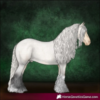 Horse Color:Silver Buckskin Roan Dun Tobiano Appaloosa 