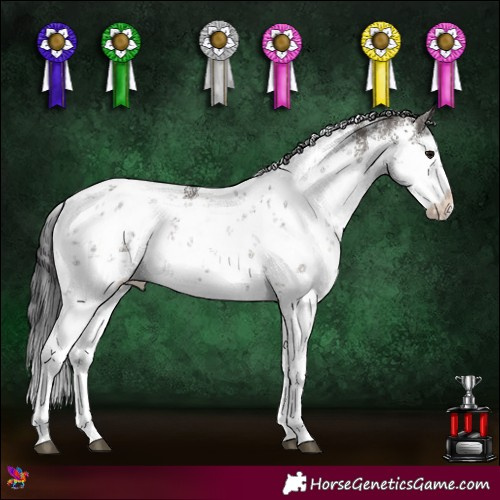 Horse Color:White Spotted Smoky Grullo Sabino Rabicano 