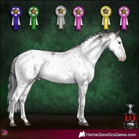 Horse Color:White Spotted Smoky Grullo Sabino Rabicano