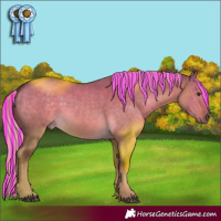 Horse Color:Painted Chocolate Palomino Dun 