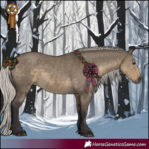 Horse Color:Silver Smoky Grullo 