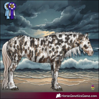 Horse Color:Silver Smoky Grullo Brindle  and Liver Chestnut Tobiano Near Leopard 