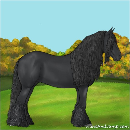 Horse Color:Black 