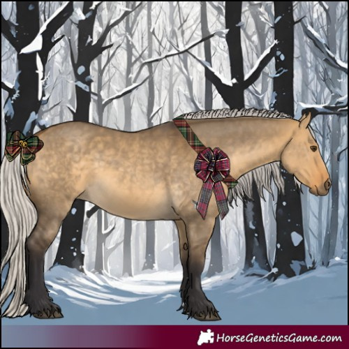 Horse Color:Silver Buckskin Dun 