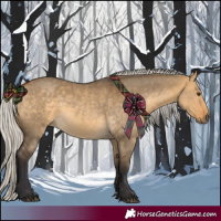 Horse Color:Silver Buckskin Dun 