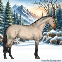 Horse Color:Brown Roan Dun 