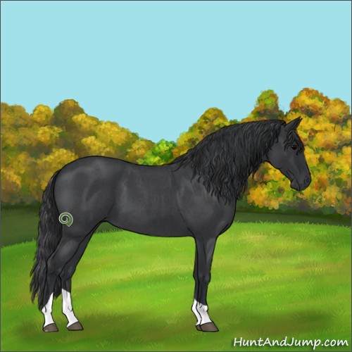 Horse Color:Blue Roan Tobiano